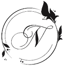 Nana's Beauty Studio Dresden